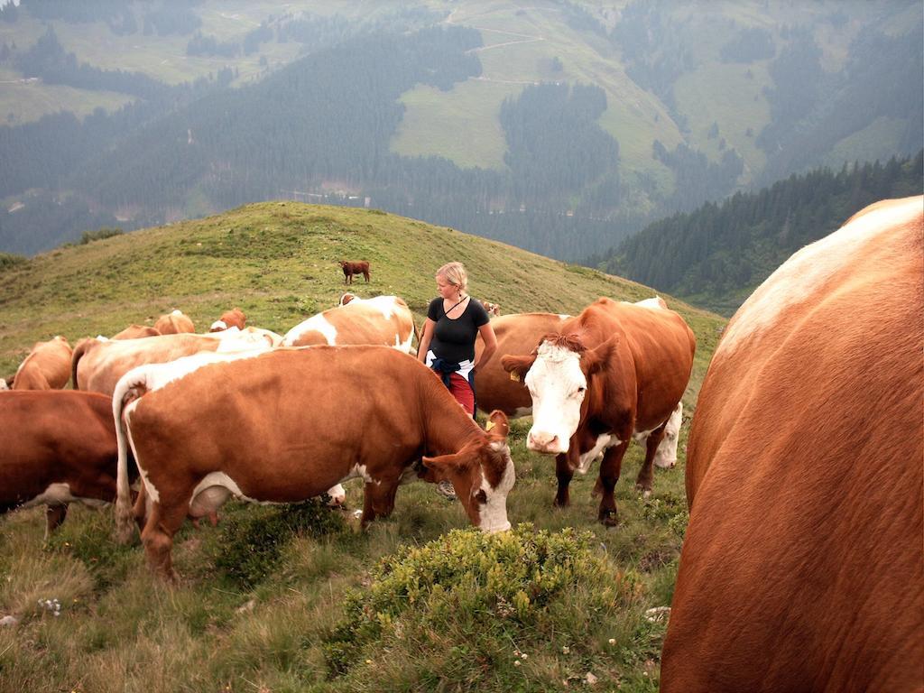 Viehhofbauer Villa Maria Alm am Steinernen Meer Dış mekan fotoğraf