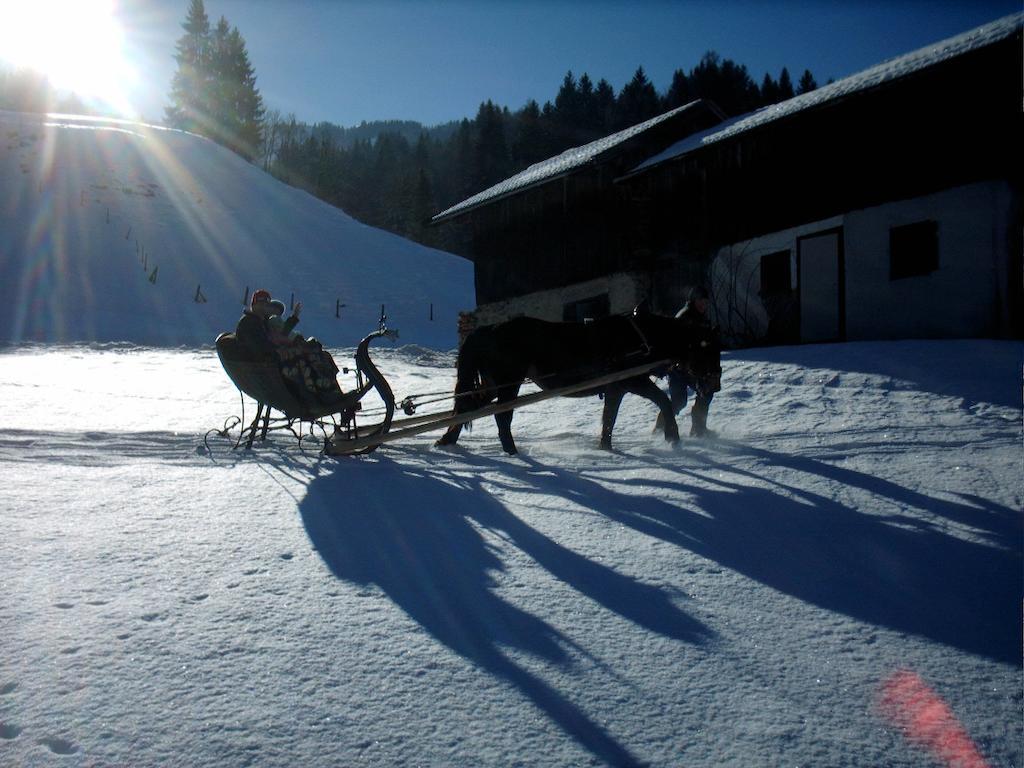 Viehhofbauer Villa Maria Alm am Steinernen Meer Dış mekan fotoğraf