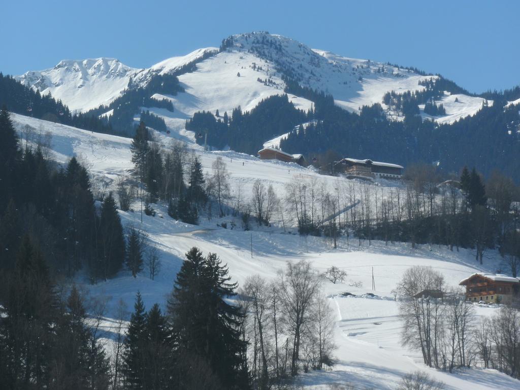 Viehhofbauer Villa Maria Alm am Steinernen Meer Dış mekan fotoğraf