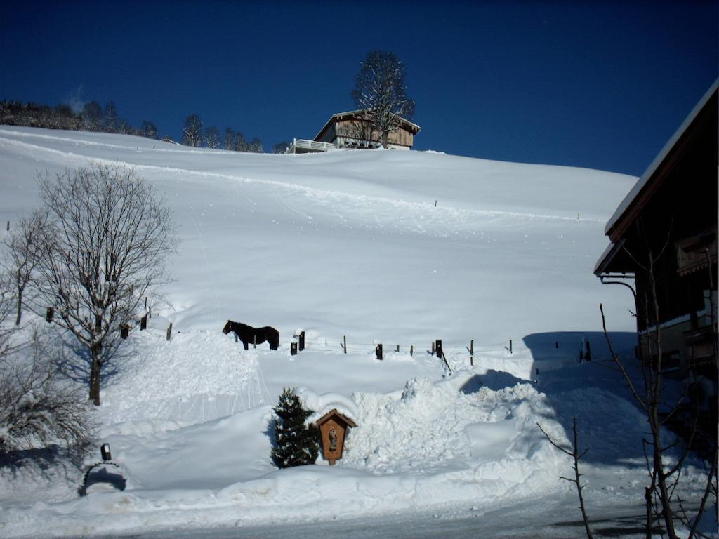 Viehhofbauer Villa Maria Alm am Steinernen Meer Dış mekan fotoğraf